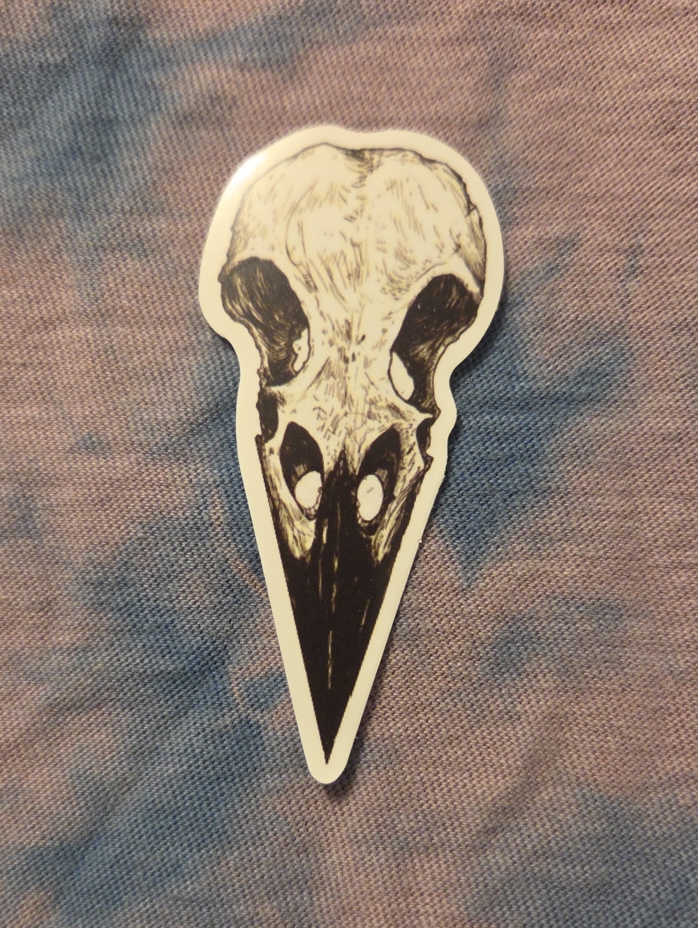 Black and White Raven Skull Sticker — Home Art Accent